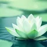 Featured image of post 【戒香普熏】《优婆塞戒经》：云何当令是戒净？（二）