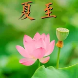 Featured image of post 【彼岸花开】夏至劝念佛：夏至虔诚念佛陀，虎溪远祖种莲荷！