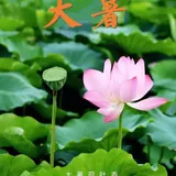 Featured image of post 【彼岸花开】大暑劝念佛：大暑流金似火攻，毫无暖气到心中！
