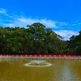 Featured image of post 【祖师开示】学道三要：信得及，放得下，守得坚！
