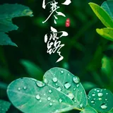 Featured image of post 【彼岸花开】寒露劝念佛：寒露持名念至微，求生净土信依依！