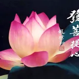 Featured image of post 【彼岸花开】《庐山莲宗宝鉴》：求生净土，须发菩提心！