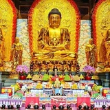 Featured image of post 【孝亲报恩专题法语】恭迎七月十五佛欢喜日，虔诵共修盂兰盆经！