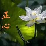 Featured image of post 【人生嘉言】《禅林宝训》：学道之士，先正其心！