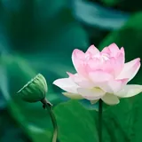 Featured image of post 【佛经语录】菩萨摩诃萨有十种魔业（二）