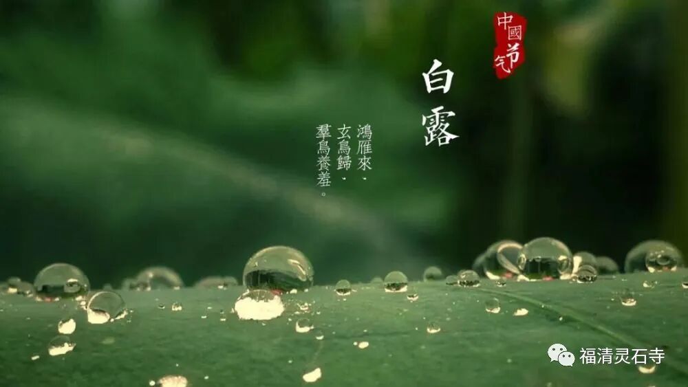 【念佛法语】白露念佛偈：只消四字行将去，果满功圆归故乡！