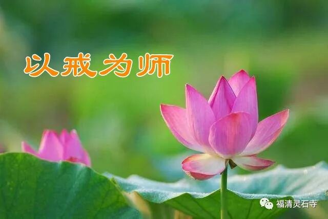 【持戒法语】蕅益大师：五浊末世，救苦之方