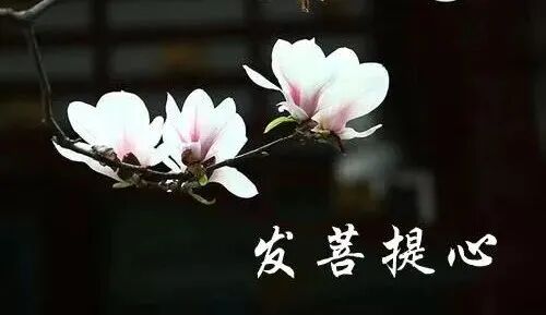 【祖师开示】弘一大师圆寂八十周年纪念日，共勉大师法语：修净土宗的头等大事！