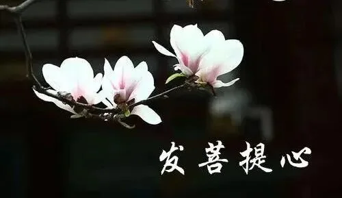 【祖师开示】弘一大师圆寂八十周年纪念日，共勉大师法语：修净土宗的头等大事！
