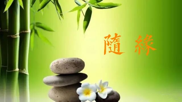 【甘露法语】法藏法师：看懂缘分，深信因果！