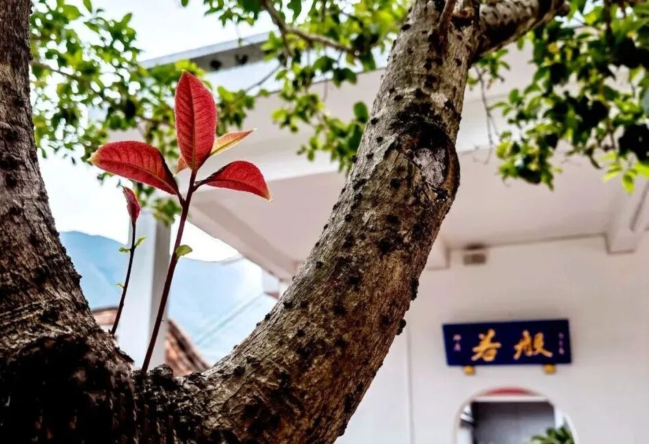 【人生嘉言】《格言联璧》：何谓“至行”？何谓“大人”？
