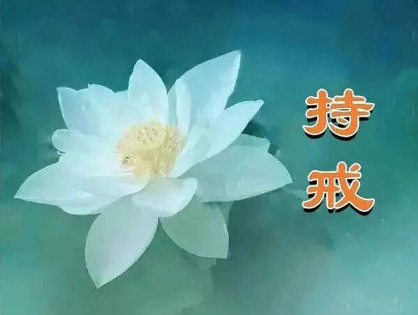 【持戒法语】《佛说大乘戒经》：戒为最上庄严，戒为欢喜胜因！