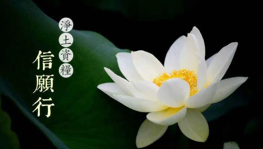 【念佛法语】蕅益大师：何为信愿？