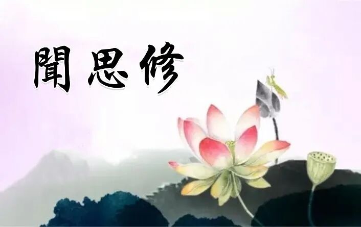 【学佛行仪之敬法篇】修学佛法之次第（三）法随法行