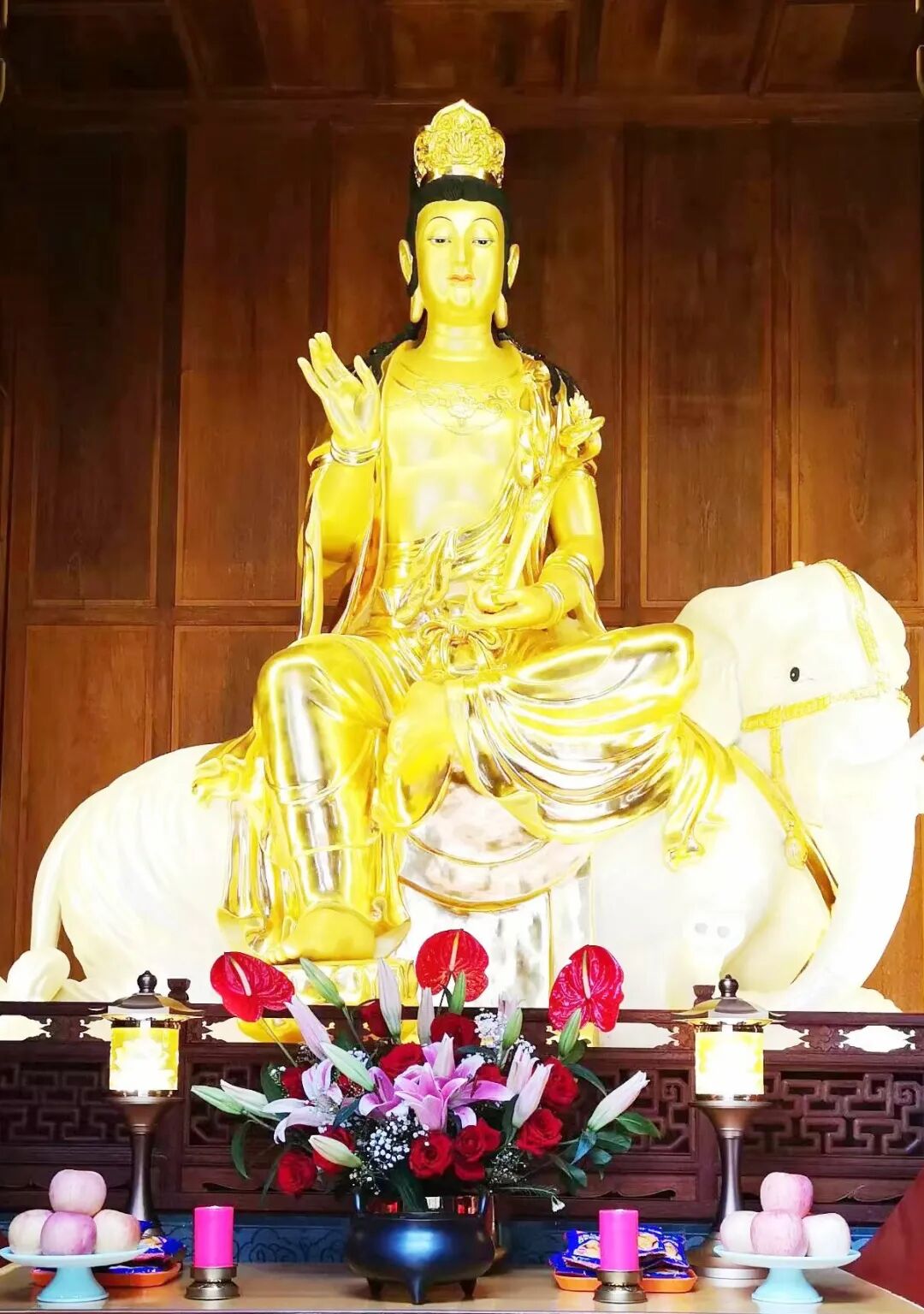 【节日专题法语】恭逢普贤菩萨圣诞，又值植树节，愿心中菩提，落地生根！（附：视频法语）