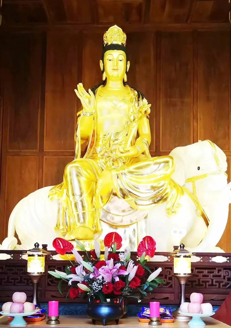 【节日专题法语】恭逢普贤菩萨圣诞，又值植树节，愿心中菩提，落地生根！（附：视频法语）
