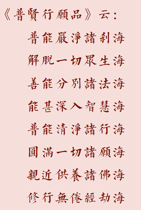 【菩提愿海】请入普贤愿海！
