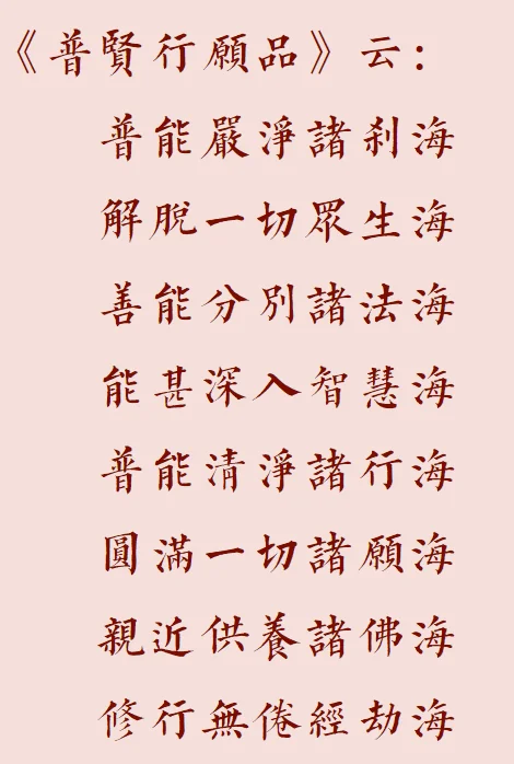 【菩提愿海】请入普贤愿海！