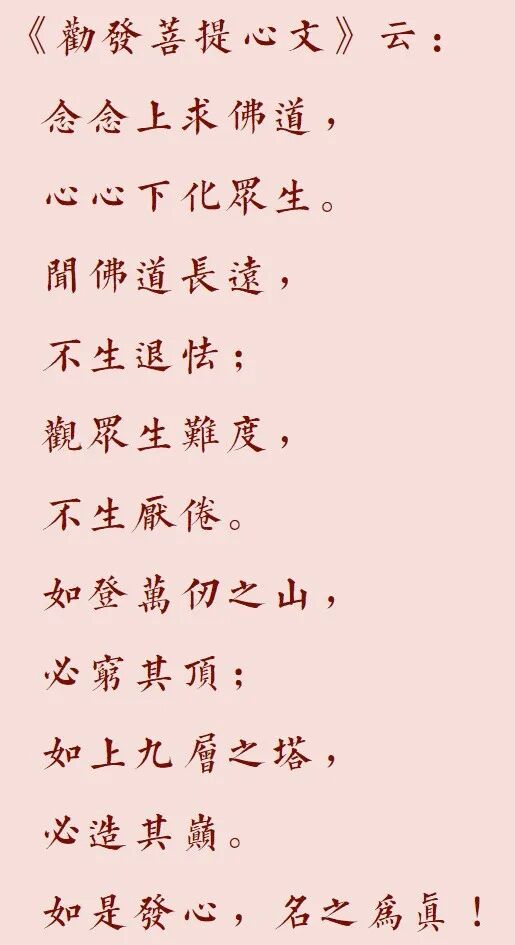 【菩提愿海】何为真正的菩提心？（附：视频法语）