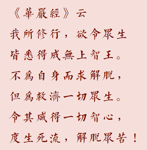 【菩提愿海】为何而修行？（附：视频法语）