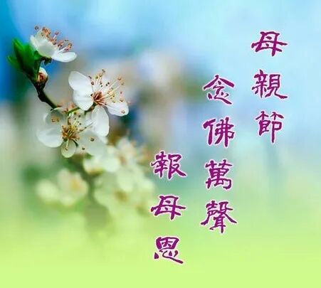 【节日专题法语】母亲节，念佛万声报母恩！