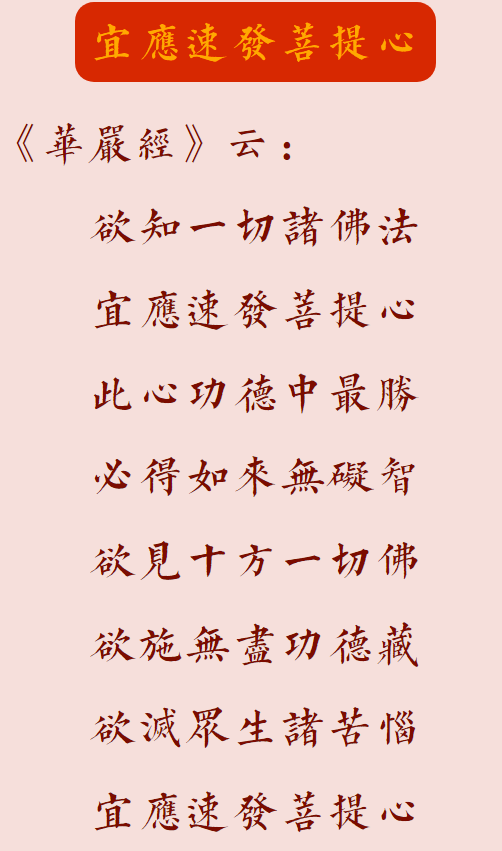 【菩提愿海】《华严经》：宜应速发菩提心！