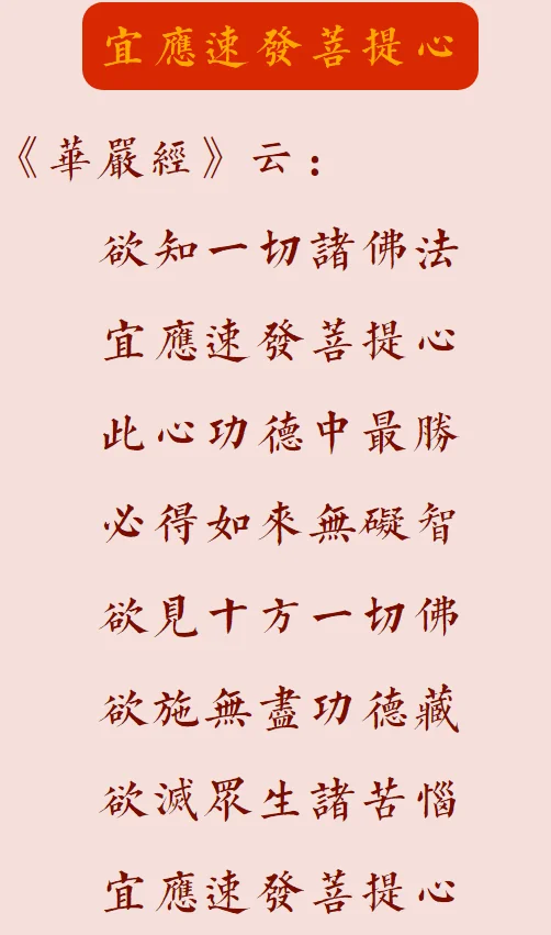 【菩提愿海】《华严经》：宜应速发菩提心！