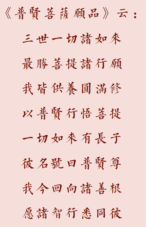 【菩提愿海】以普贤行悟菩提！