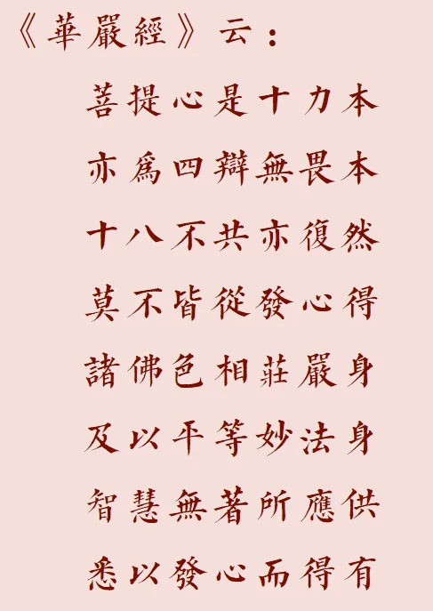 【菩提愿海】菩提心是十力本！