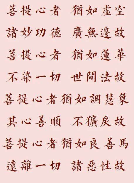 【菩提愿海】菩提心者，犹如莲花