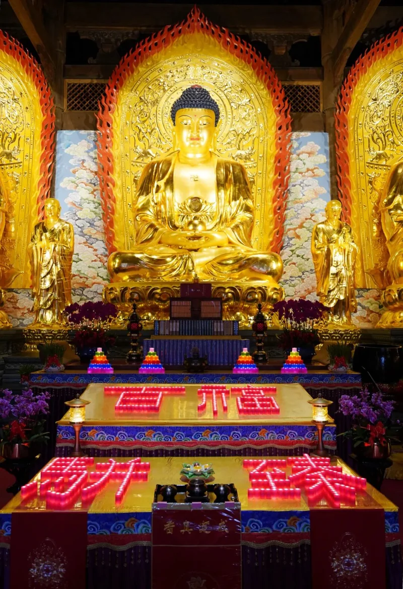 【节日专题法语】甲辰新春，来自的龙年祝福！