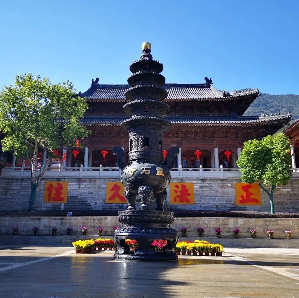 【节日专题法语】甲辰新春，来自的龙年祝福！