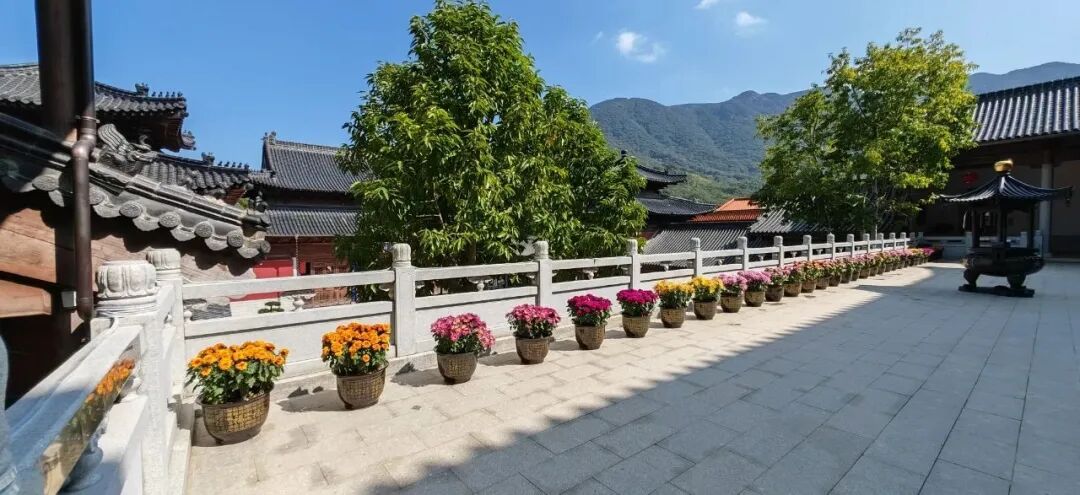 【般若明灯】法藏法师：学佛的基础：向内看！