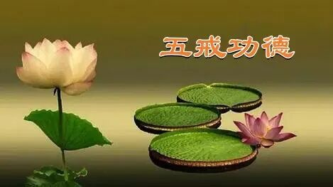 【戒香普熏】《优婆塞戒经》：有五善法，围绕是戒！