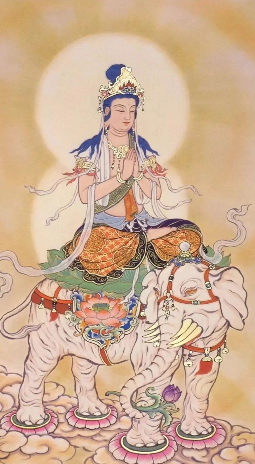 【菩提愿海】《华严经》：​三世一切诸如来，靡不护念初发心！