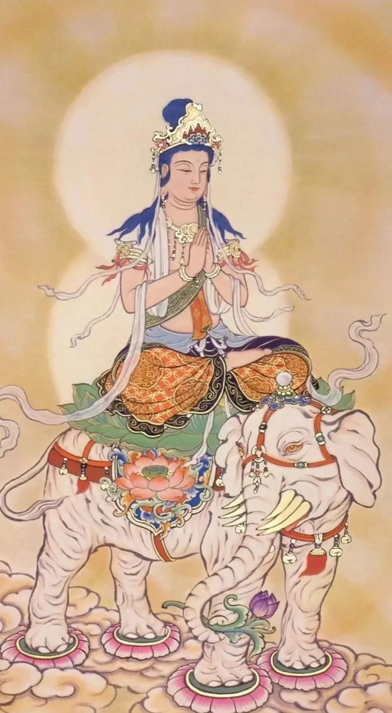 【菩提愿海】《华严经》：\u200b三世一切诸如来，靡不护念初发心！