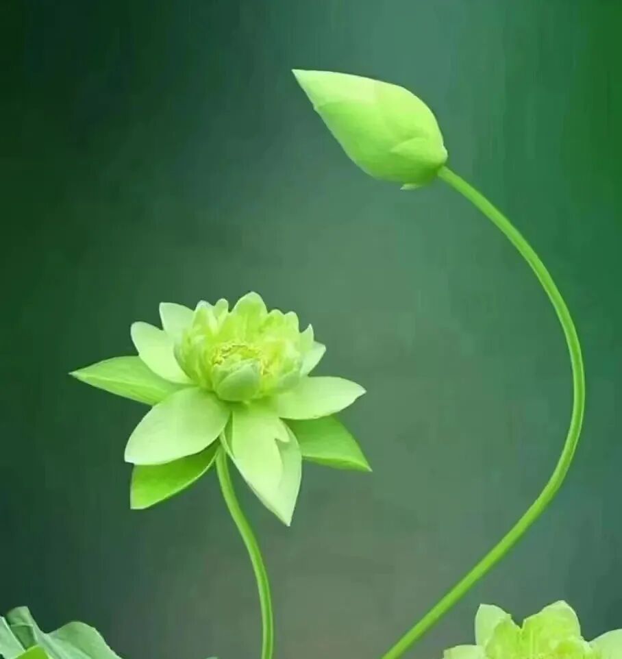 【般若明灯】法藏法师：修行人须具备的最根本的标准