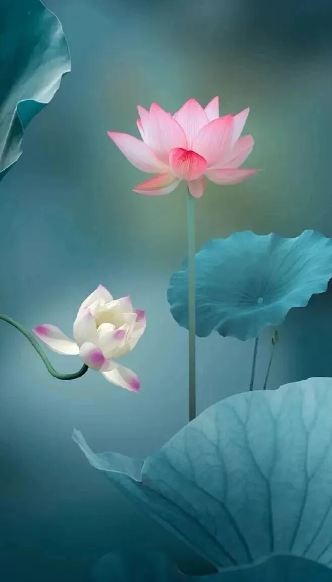 【般若明灯】法藏法师：我心安处是三宝