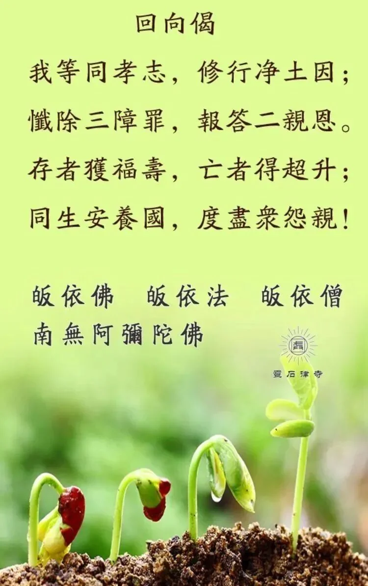 【孝亲报恩专题法语之十六】祖师开示：孝顺二事，我们做到了吗？