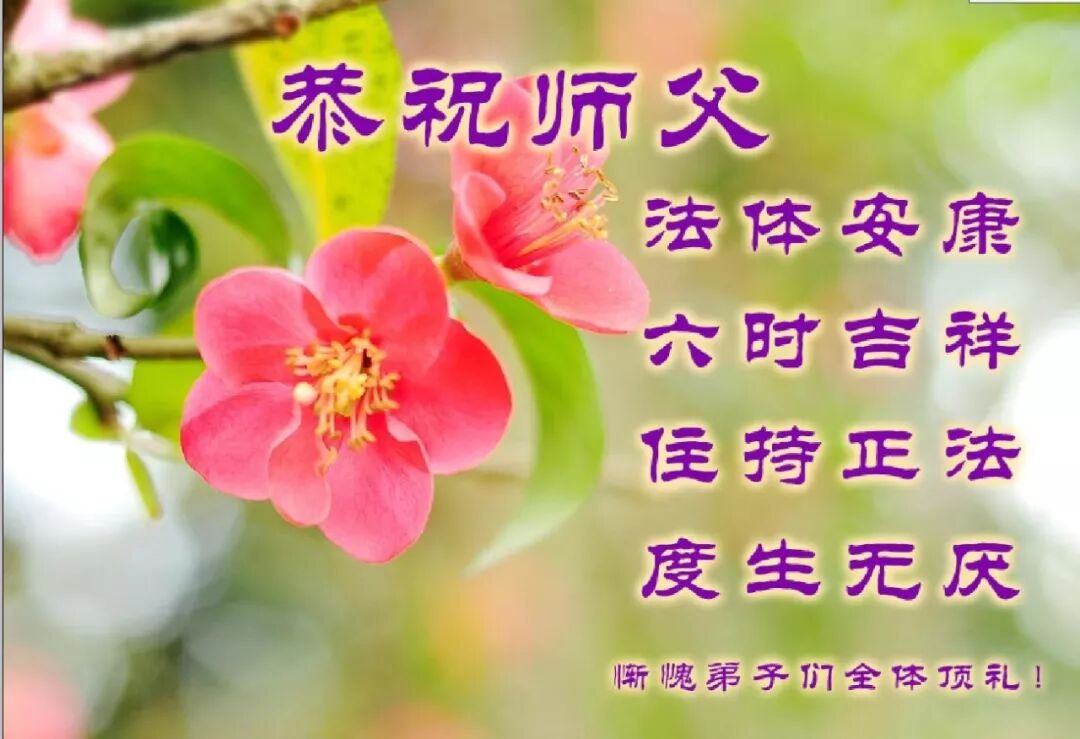 【节日专题法语】教师节，供养师父的一首歌：《为正法勇敢担当》