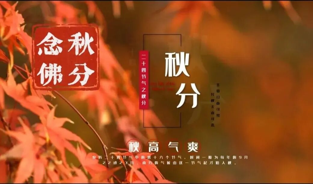 【彼岸花开】真嵩禅师：秋分念佛莫贪眠, 一句弥陀信要坚！