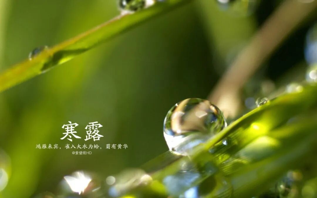 【念佛法语】寒露念佛偈：单念弥陀妄自稀！