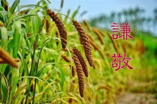 【般若明灯】法藏法师：居弟子位、执弟子礼、具弟子相！