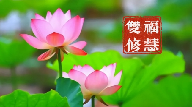 【彼岸花开】憨山大师：福慧双修，成佛妙行！