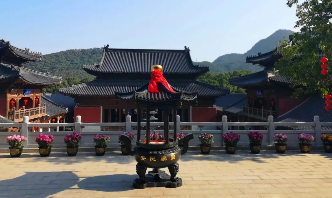 【节日专题法语】来自的2025元旦祝福！