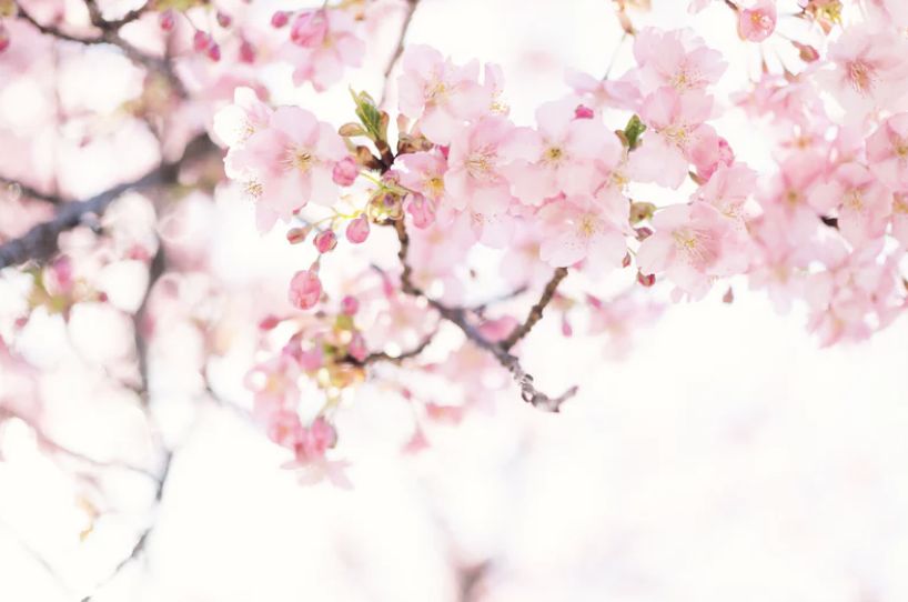 【祖师开示】蕅益大师圆寂纪念日，共勉大师法语：戒之关系大矣！