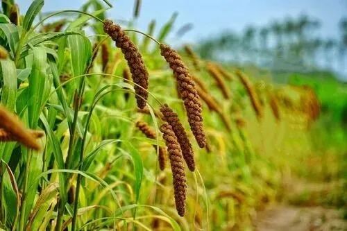 【般若明灯】法藏法师：具足惭愧心，时时反省！