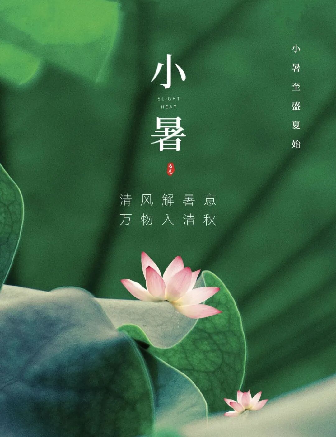 【彼岸花开】小暑劝念佛：小暑持名心至诚，时时佛号信中行！