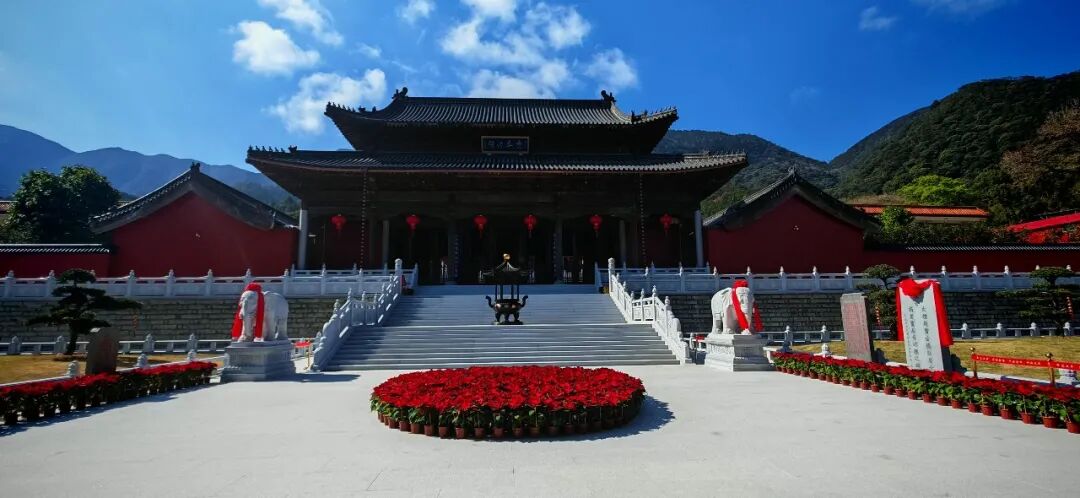 【节日专题法语】来自的2026元旦祝福！