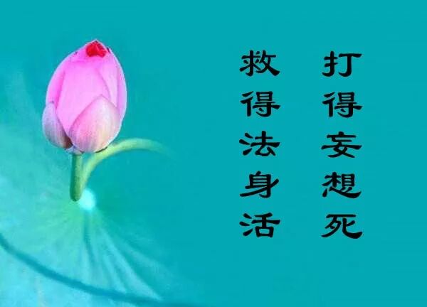 【祖师开示】慈舟大师：打得妄想死，救得法身活！